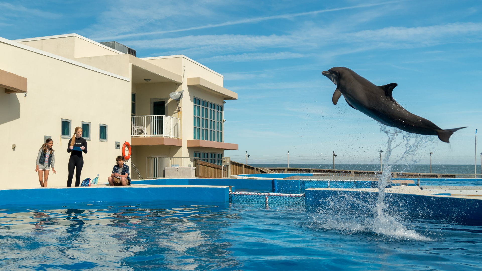 დელფინი ბერნი Bernie The Dolphin ქართულად