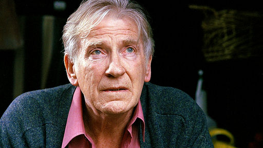 დევიდ უორნერი