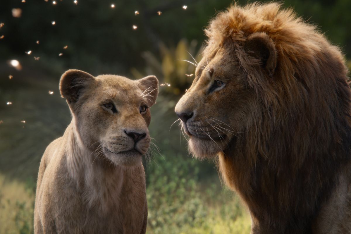ფილმის „მეფე ლომი“ მეორე ნაწილს ვიხილავთ