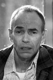 ბრედ სულივანი