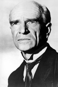 იანი ვოლფე