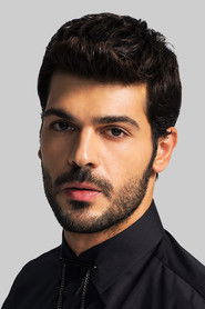 ტოლგა მენდი