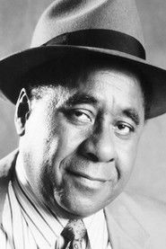 ალი ფანი