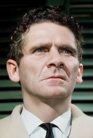 ალი მულოკი