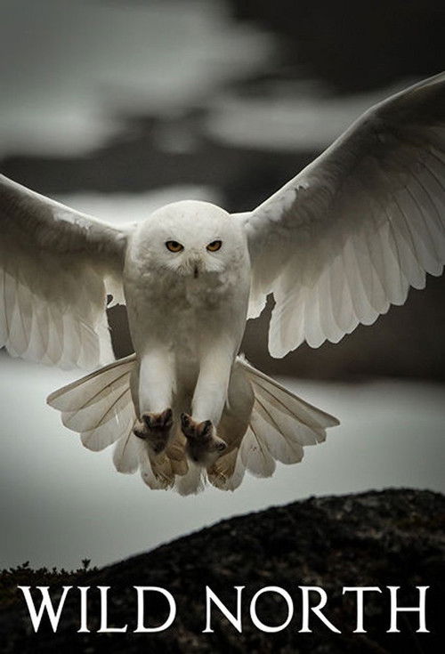 ველური ჩრდილოეთი