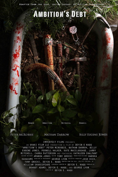 ამბიციური ვალდებულება