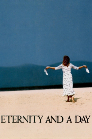 უსასრულობა და ერთი დღე