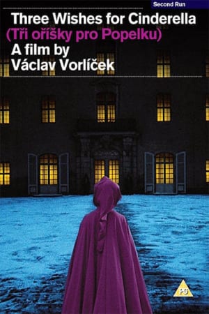 სამი კაკალი კონკიასათვის