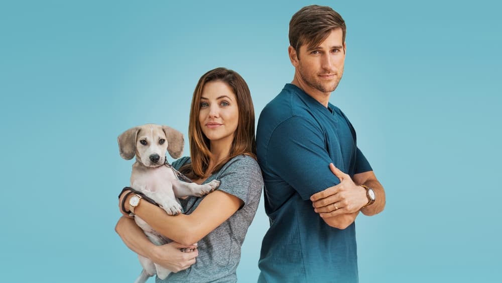 როგორ მოვათვინიეროთ ქმარი