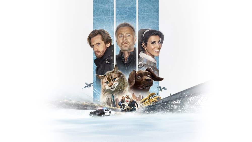 არასწორი ცხოველები