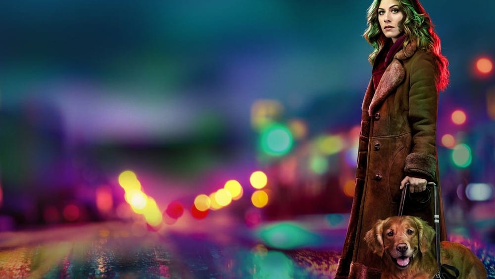 სიბნელეში სეზონი 2