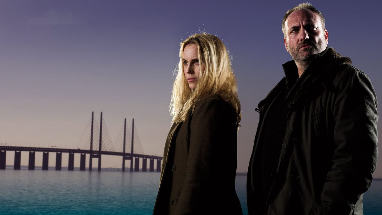 ხიდი სეზონი 1