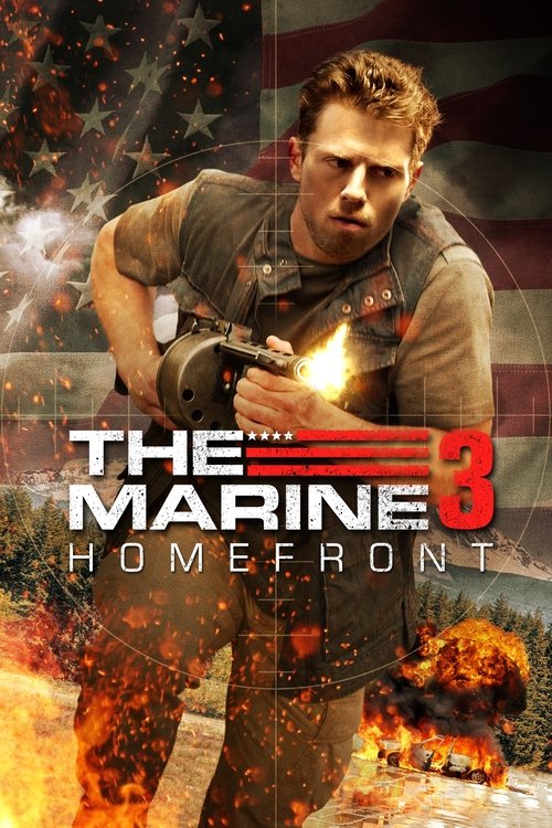საზღვაო ქვეითი ჯარისკაცი, The Marine: Homefront,