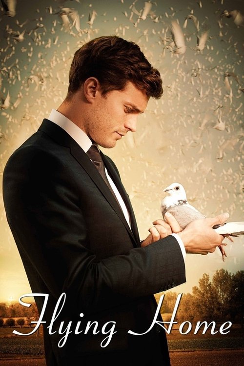 დაბრუნება სახლში