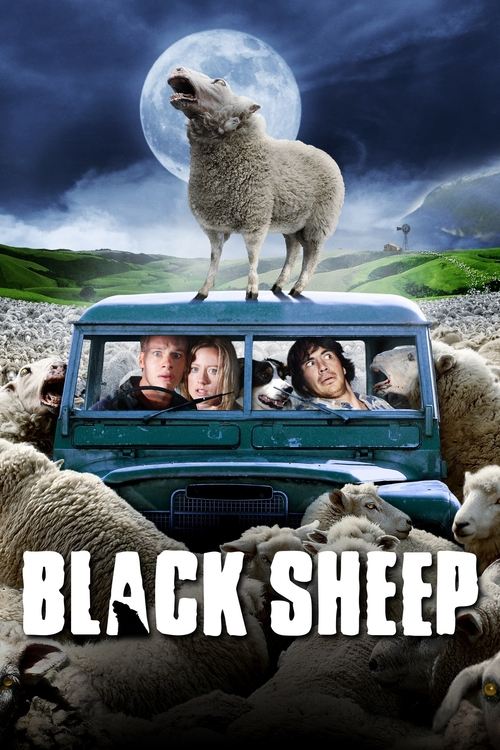 შავი ცხვარი, BLACK SHEEP