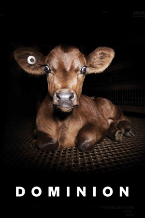 დომინიონი